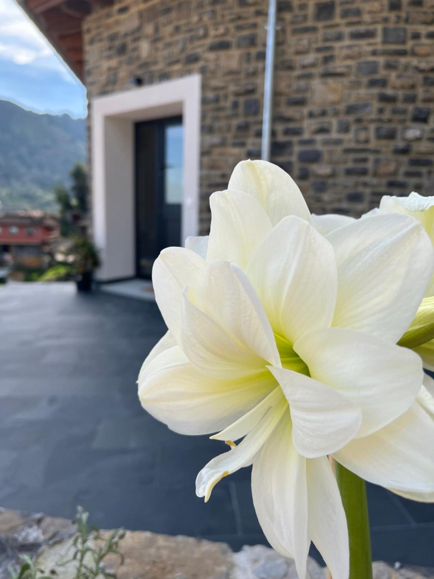 Apartamentos Rurales El Solsuco Casa Mariacarlos Villaviciosa  Dış mekan fotoğraf